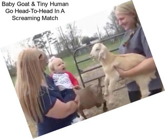 Baby Goat & Tiny Human Go Head-To-Head In A Screaming Match