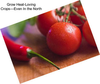 Grow Heat-Loving Crops—Even In the North