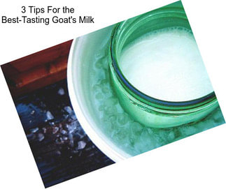 3 Tips For the Best-Tasting Goat\'s Milk