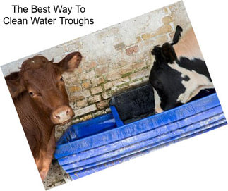 The Best Way To Clean Water Troughs