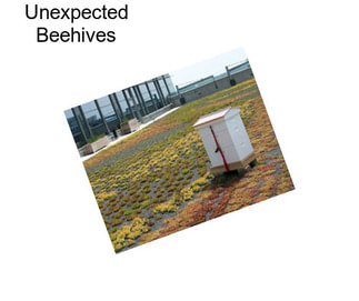 Unexpected Beehives