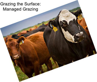 Grazing the Surface: Managed Grazing