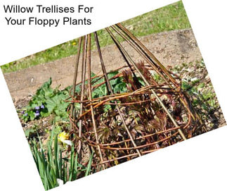 Willow Trellises For Your Floppy Plants