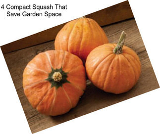 4 Compact Squash That Save Garden Space