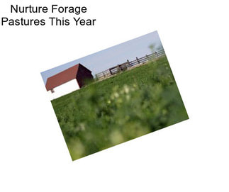 Nurture Forage Pastures This Year