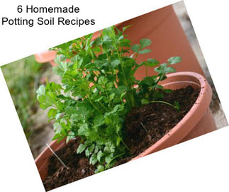 6 Homemade Potting Soil Recipes