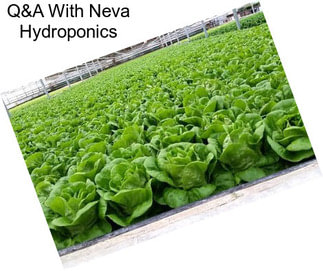 Q&A With Neva Hydroponics