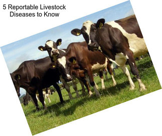 5 Reportable Livestock Diseases to Know