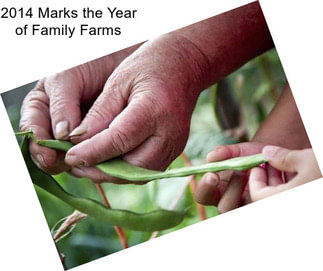 2014 Marks the Year of Family Farms