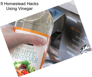 9 Homestead Hacks Using Vinegar