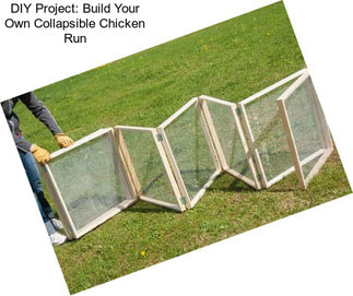 DIY Project: Build Your Own Collapsible Chicken Run
