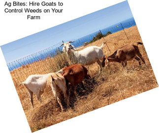 Ag Bites: Hire Goats to Control Weeds on Your Farm