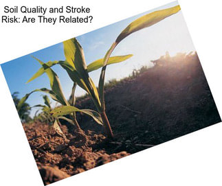 Soil Quality and Stroke Risk: Are They Related?