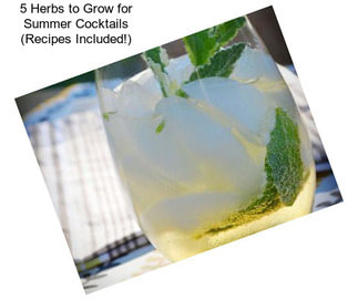 5 Herbs to Grow for Summer Cocktails (Recipes Included!)