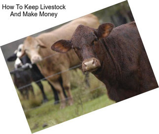How To Keep Livestock And Make Money