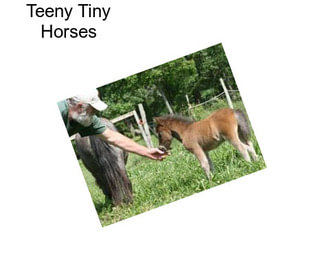 Teeny Tiny Horses
