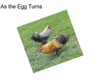 As the Egg Turns