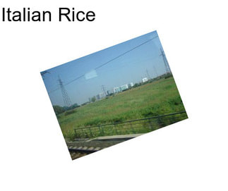 Italian Rice