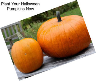 Plant Your Halloween Pumpkins Now