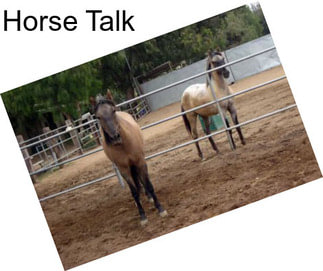 Horse Talk