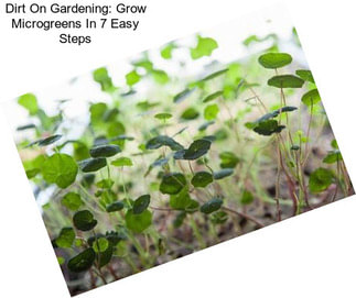 Dirt On Gardening: Grow Microgreens In 7 Easy Steps