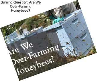 Burning Question: Are We Over-Farming Honeybees?