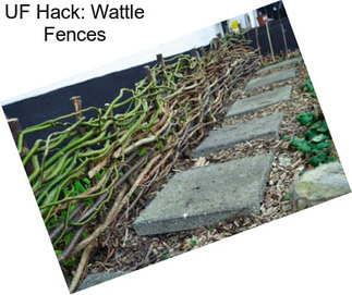 UF Hack: Wattle Fences