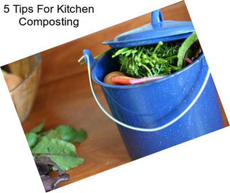 5 Tips For Kitchen Composting
