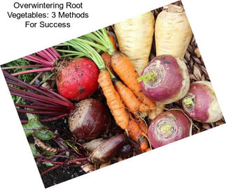 Overwintering Root Vegetables: 3 Methods For Success