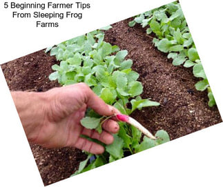 5 Beginning Farmer Tips From Sleeping Frog Farms