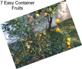 7 Easy Container Fruits