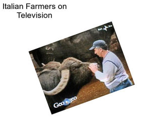 Italian Farmers on Television