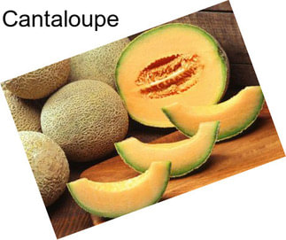 Cantaloupe