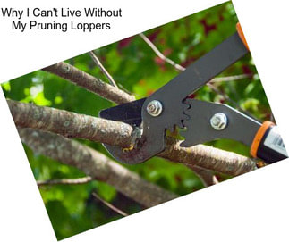 Why I Can\'t Live Without My Pruning Loppers