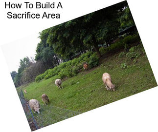 How To Build A Sacrifice Area