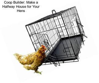 Coop Builder: Make a Halfway House for Your Hens