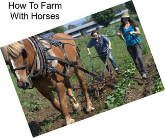 How To Farm With Horses