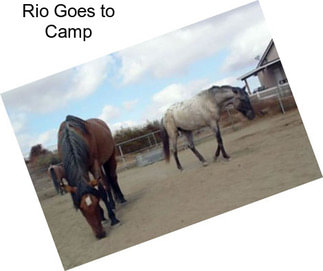 Rio Goes to Camp