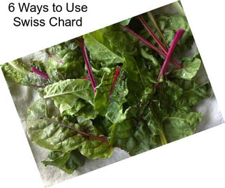 6 Ways to Use Swiss Chard