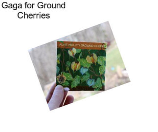 Gaga for Ground Cherries