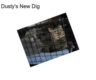 Dusty\'s New Dig