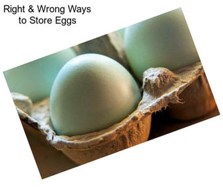 Right & Wrong Ways to Store Eggs