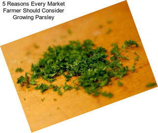 5 Reasons Every Market Farmer Should Consider Growing Parsley