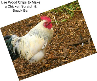 Use Wood Chips to Make a Chicken Scratch & Snack Bar