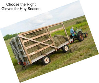 Choose the Right Gloves for Hay Season