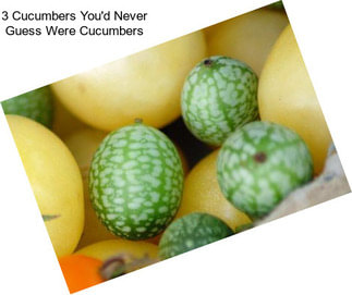 3 Cucumbers You\'d Never Guess Were Cucumbers