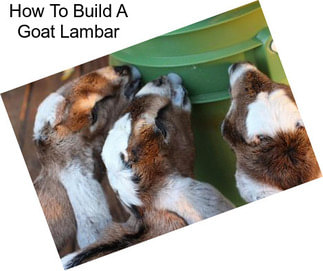How To Build A Goat Lambar
