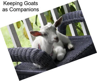 Keeping Goats as Companions