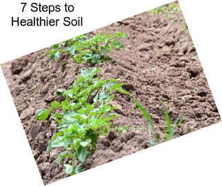7 Steps to Healthier Soil