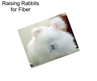 Raising Rabbits for Fiber